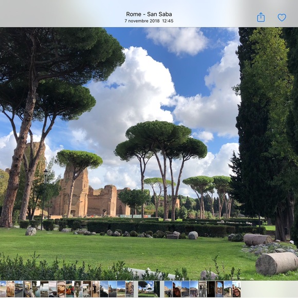 from 20 Oct to 10 November - Picture 7 of 14